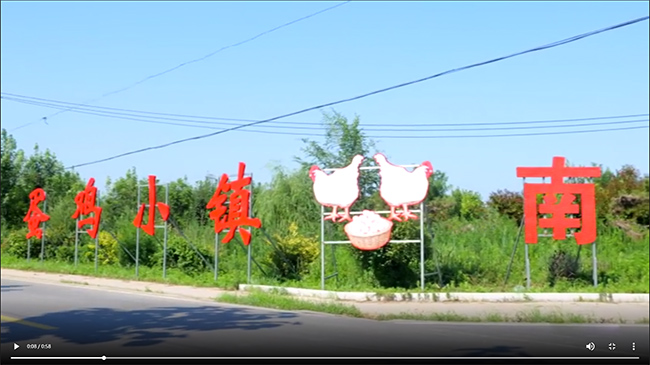 好货代言丨河北曲周县南里岳乡乡长张艳涛：鸡蛋颜色鲜亮 个头均匀